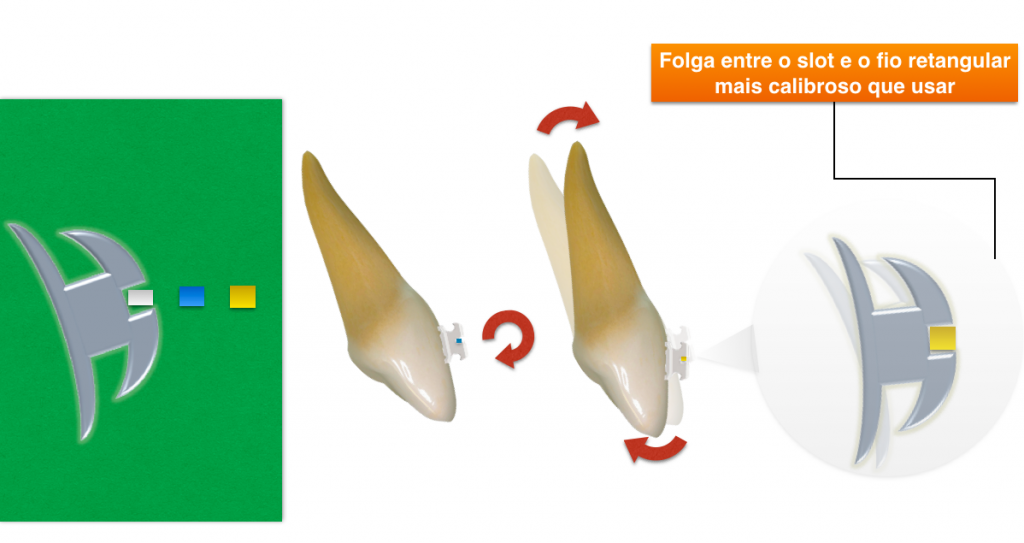 demonstração da evolução do movimento de torque quando evolui o calibre dos fios retangulares